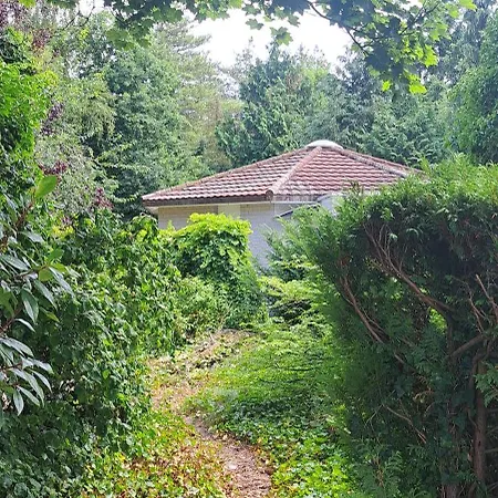 Orchidee * 에르멜로