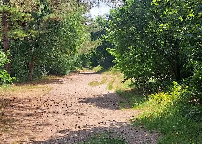 בית נופש Orchidee