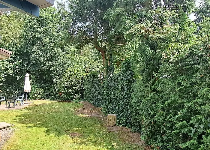 בית נופש Orchidee