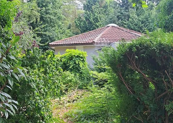 Orchidee * 에르멜로