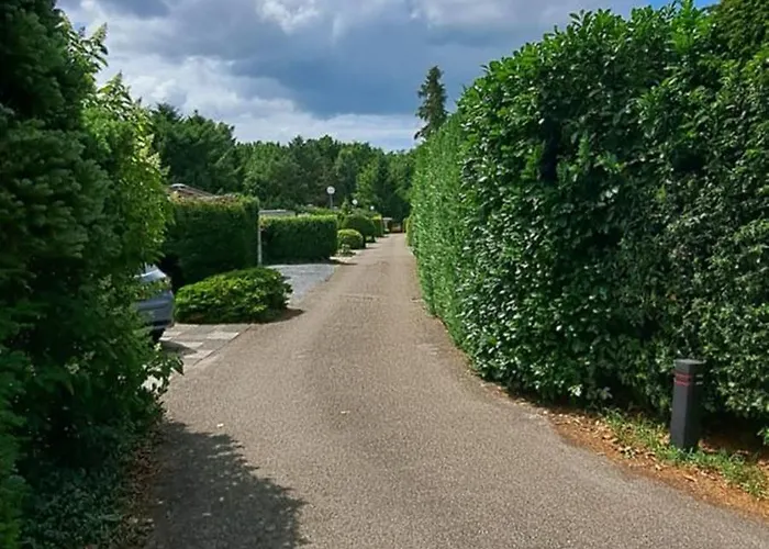 Orchidee בית נופש