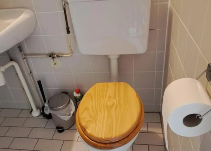 Orchidee 에르멜로