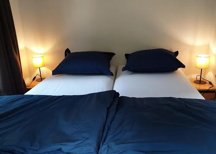 Orchidee 에르멜로