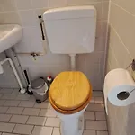 Orchidee Эрмело